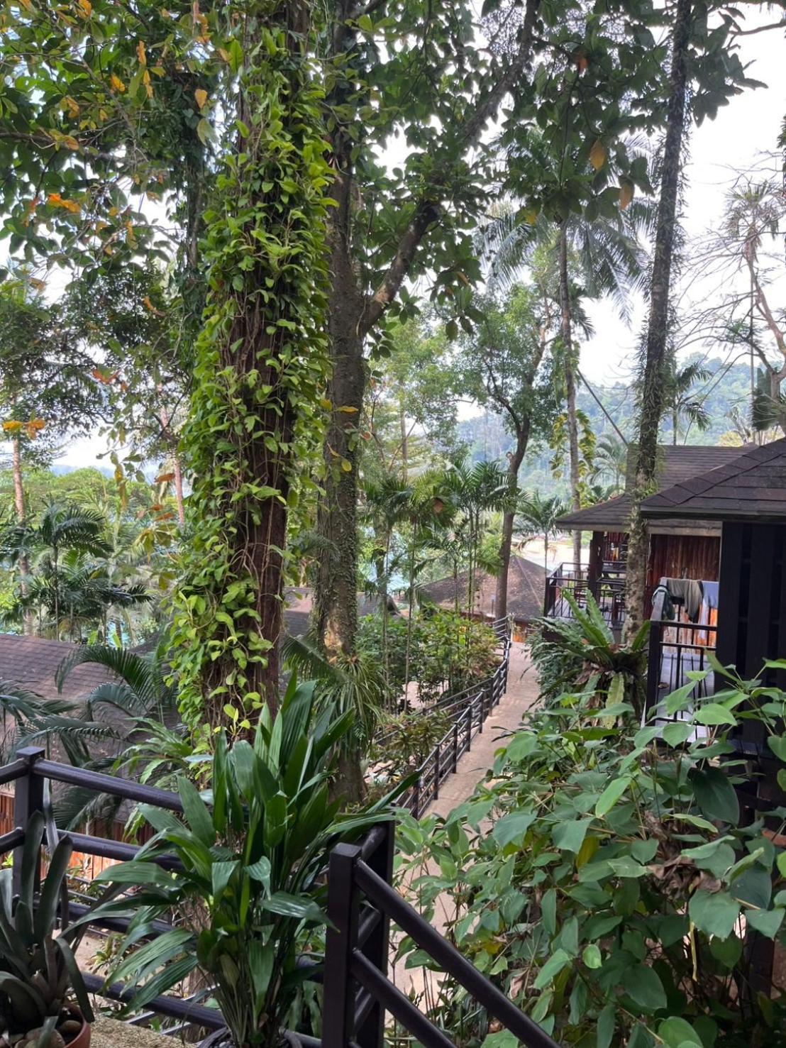 Baan Krating Khao Lak Resort - Sha Plus Exterior photo